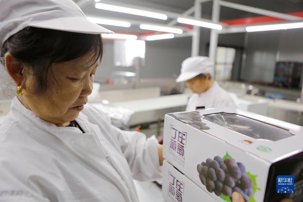 威尼斯登录地址